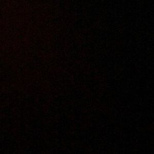 Meet your Posher, Bella